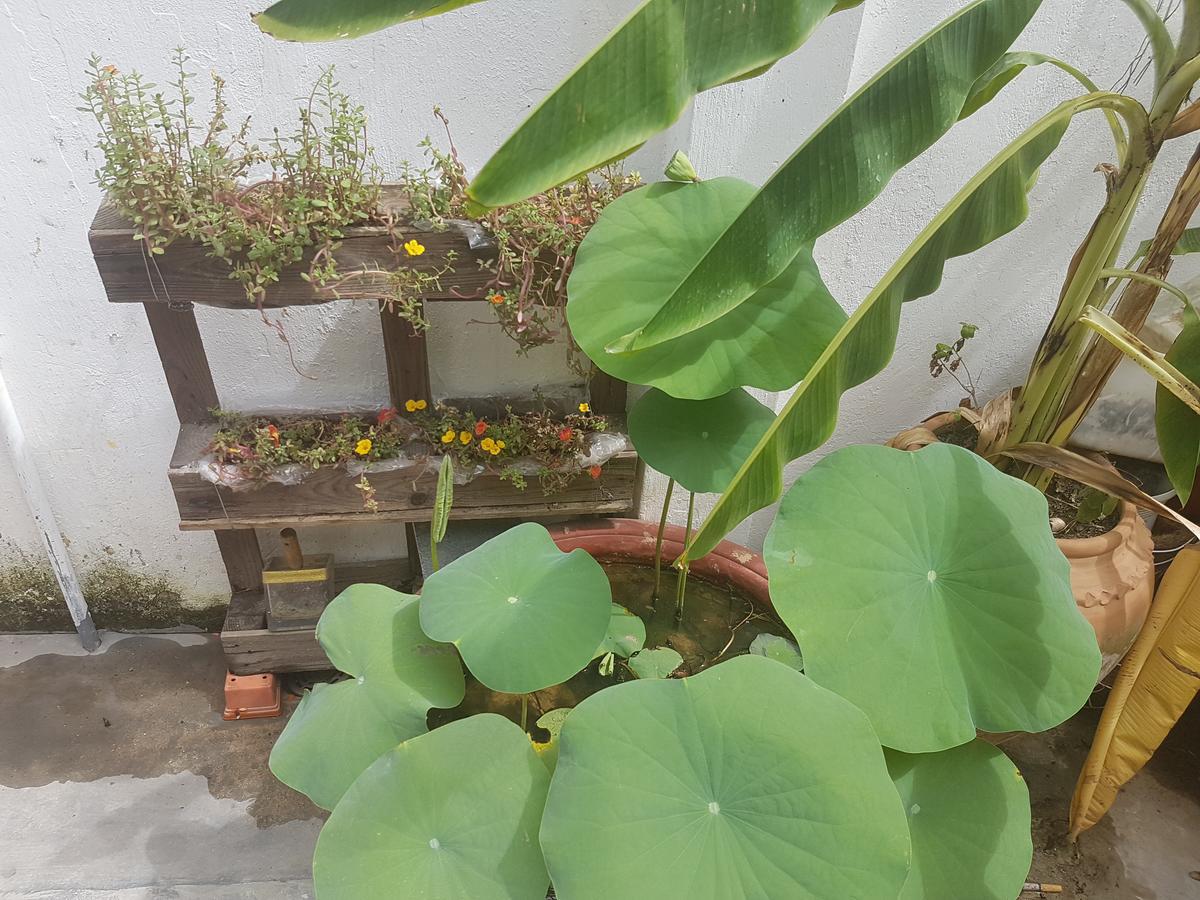 La La house Homestay Nha Trang Extérieur photo